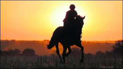 Aimerais-tu faire un sport avec un animal ?