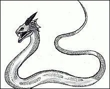 Quelle plante porte le nom d'un reptile mythologique qui serait capable de tuer grce  son regard ?