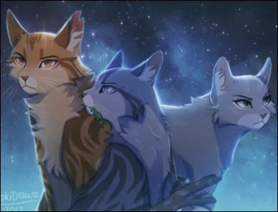 Un chaton du clan adverse se fait attaquer par un renard ; tu...