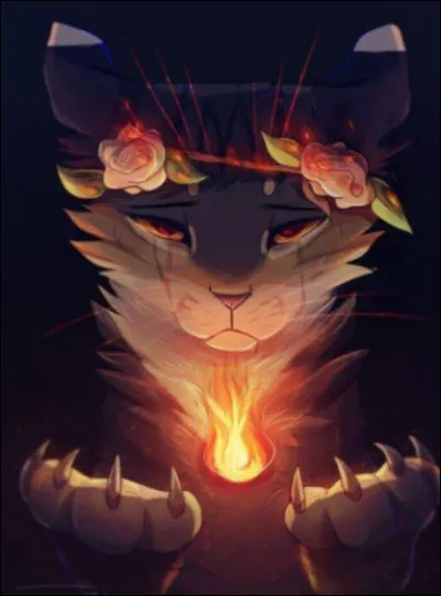 Quel chef préfères-tu ?