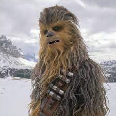 Dans quelle saga cinématographique peut-on voir le personnage de Chewbacca ?