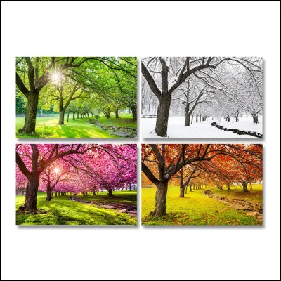 Tu préfères lété, lhiver, le printemps ou lautomne ?