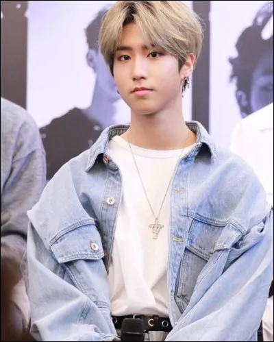 Il fait également partie du sous-groupe .... avec Changbin et Bang Chan, également de Stray Kids.