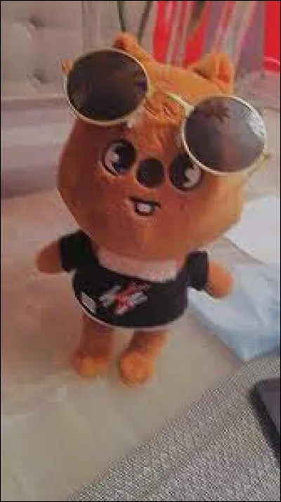 Est-ce son "Skzoo" ?