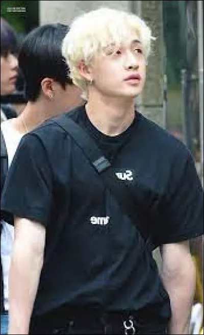 Comment se nomme sont "Skzoo" ?