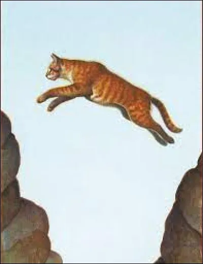 Quels sont leurs grades ?