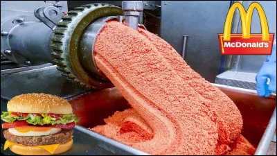 Quelle est ta nourriture préférée ?