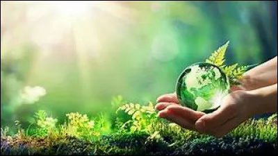 Quels sont les trois secteurs d'activité qui sont les plus impactants pour la biodiversité ?