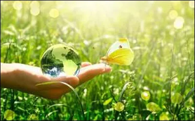 Dans quels milieux les populations d'oiseaux ont-elles le plus décliné ?