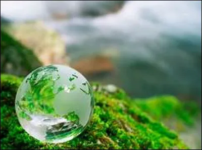 Quels sont des impacts négatifs du changement climatique sur la biodiversité ?