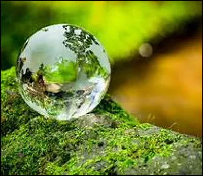 Quelle est la priorité du développement durable dans la définition proposée par le rapport Brundtland ?