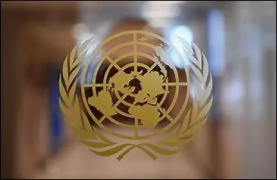 Quelle société l'ONU a-t-elle remplacé ?