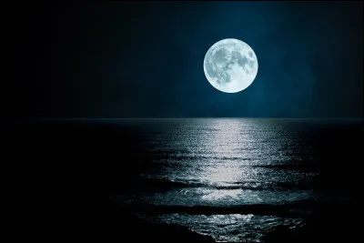 Qui a écrit le roman "La Lune dans le caniveau" ?