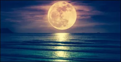 Quel acteur de cinéma la série télévisée "Clair de Lune" a-t-elle révélé ?