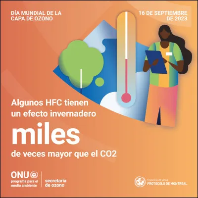 Et où en est-on, aujourd'hui, après une trentaine d'années d'interdiction ?