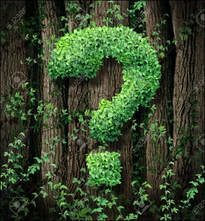 Quelle plante est l'emblème de lÉcosse ?