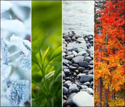 Quelle est ta saison pr&eacute;f&eacute;r&eacute;e ?