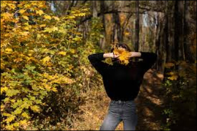 Aimes-tu partir &agrave; l'aventure, comme &ccedil;a, sans pr&eacute;parations ?