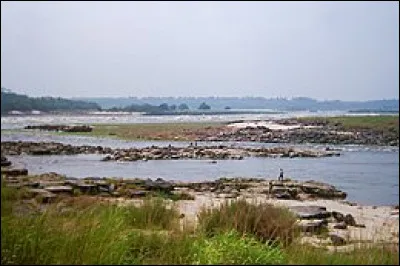 Les chutes Livingstone se situe...