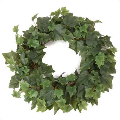 Quelle Muse est celle de la comédie ?