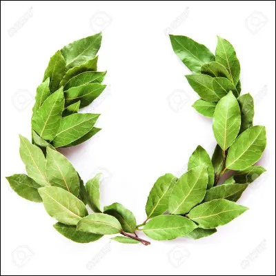 Quelle Muse est celle de l'histoire ?