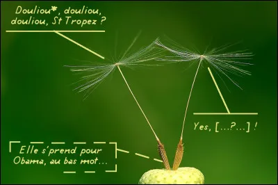 Comment nomme-t-on ces fruits secs et indéhiscents ne contenant qu'une graine, et qui ne s'ouvrent pas spontanément à maturité ?