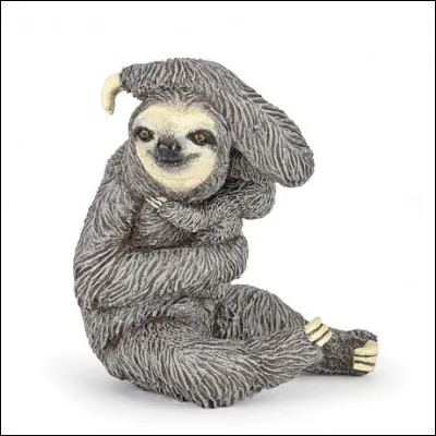 Quel est cet animal ?