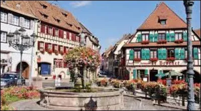 Barr : dans quel département se trouve la petite ville - 7 000 habitants - de Barr ?