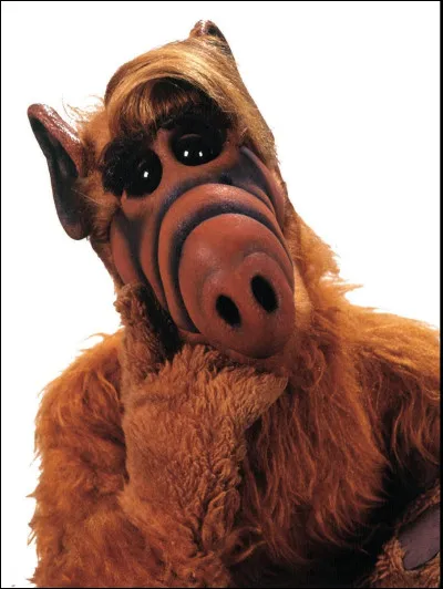Alf, héros de série télévisée, adorait un mets très prisé sur sa planète, qu'il tentait de dévorer au long des épisodes ; lequel ?
