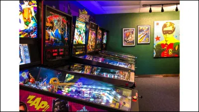 Flipper à la rescousse ! ! ! Pas le célèbre jeu qui peuplait les cafés mais un animal, héros d'une série éponyme. Quel type d'animal d'ailleurs ?