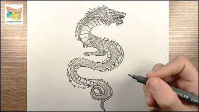 Quel type de dessin aimes-tu le plus ?