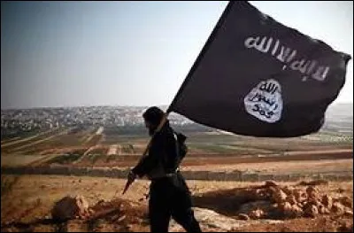 En 2015, que demandent les talibans à Abou Bakr al-Baghdadi ?