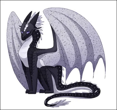 Quelle image t'attire le plus ?