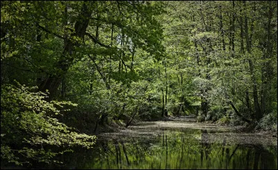 Aimes-tu la nature ?