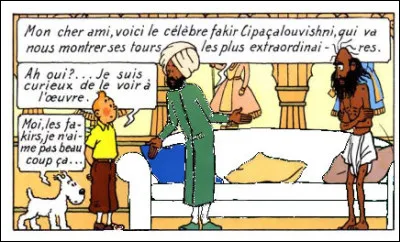 Quant au canapé du Maharadjah du "Lotus Bleu", celui-ci était ...