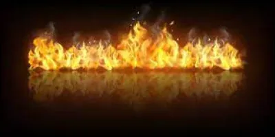 En quelle année le feu a-t-il ravagé une partie de la cathédrale Notre-Dame de Paris ?