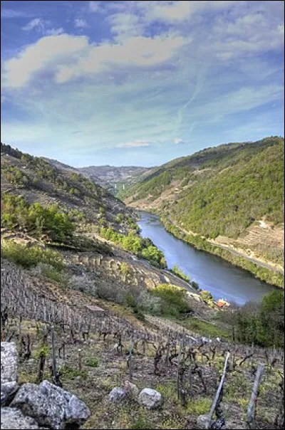 Ne bat jamais seul, c'est le...