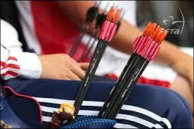 En tir à l'arc comment appelle-t-on le cur de la flèche ?