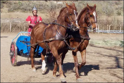 Quelle lettre faut-il ajouter pour obtenir ce qui enveloppe le squelette ?