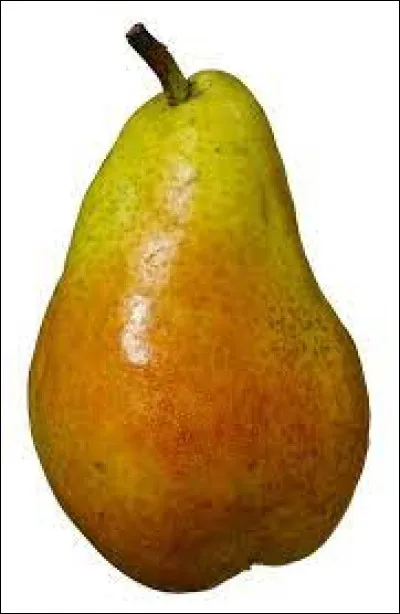 Quelle lettre faut-il remplacer pour obtenir une fête foraine ?