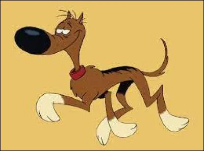 Quelle est la principale caractéristique de Rantanplan ?