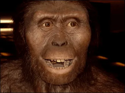 En 1974, dans quel pays a été découverte l'australopithèque baptisée Lucy ?