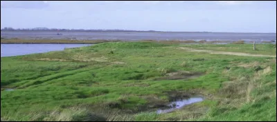 Lequel de ces fleuves normands se jette dans la baie des Veys ?