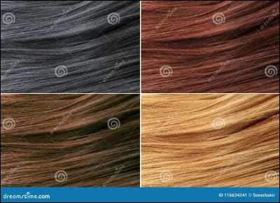 De quelle couleur sont tes cheveux ?