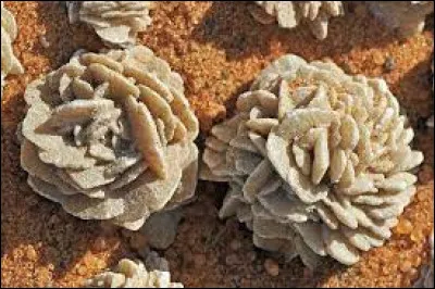 À partir de quel minéral une rose des sables se cristallise-t-elle ?