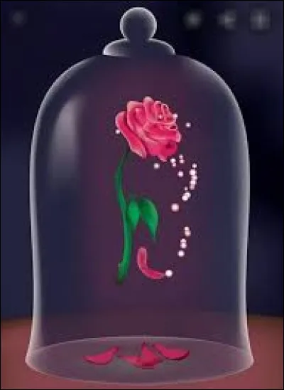 Dans quel dessin animé Disney, le héros est-il lié aux pétales d'une rose ?