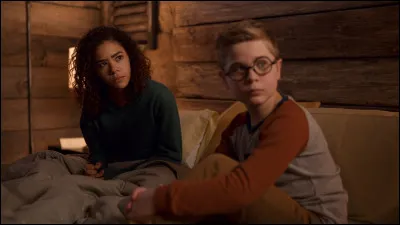 Quel professeur de Ginny est raciste ?