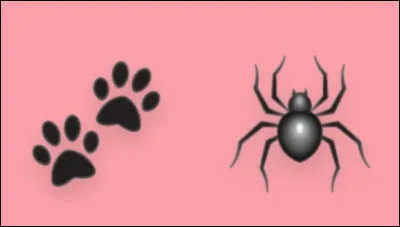 Passons à un autre clan. Qui est ce chat ?