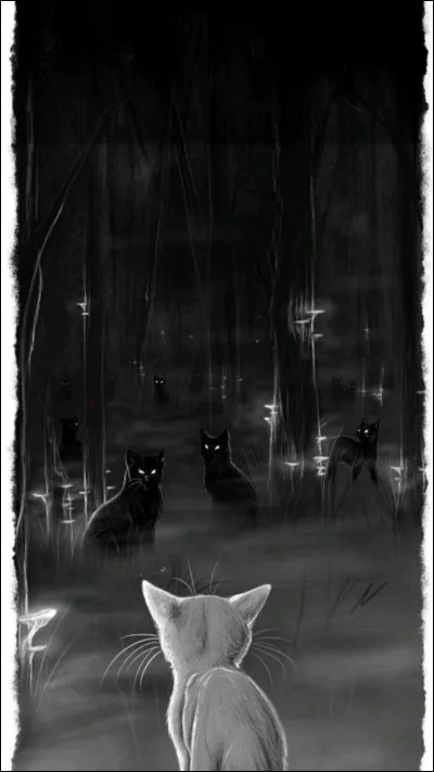 Tu es tranquillement en train de te promener dans ton quartier quand tu tombes truffe à truffe avec un chat au visage déformé par la colère. Que fais-tu ?