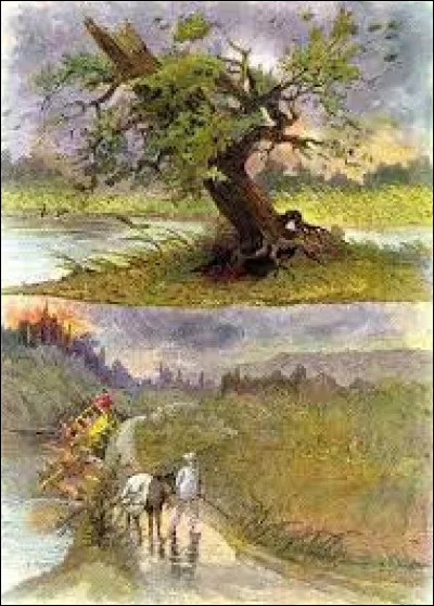 Selon la célèbre fable, il ''plie'' et ''ne rompt pas'' :